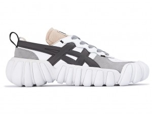 Férfi Onitsuka Tiger Dentigre Ls Cipő Fehér Szürke | GL1064872