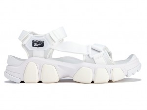 Férfi Onitsuka Tiger Dentigre Pántos Cipő Fehér Fehér | BM1852796
