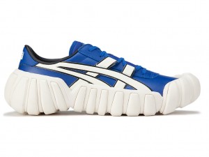Férfi Onitsuka Tiger Dentigre Tai-Chi Cipő Kék Krém | HL2037185