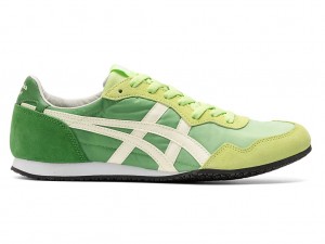 Férfi Onitsuka Tiger Serrano Cipő Zöld | FK6285430