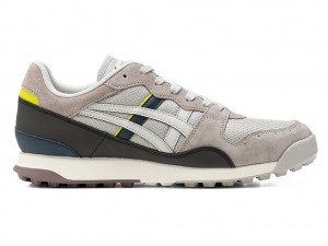 Férfi Onitsuka Tiger Tiger Horizonia Cipő Szürke Szürke | AO4210759