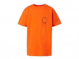 Gyerek Onitsuka Tiger Grafika Tee Felsők Habanero | GA3697421