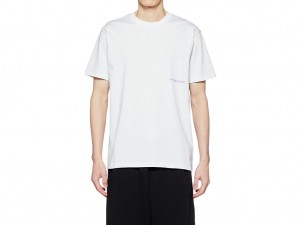 Női Onitsuka Tiger Grafika Tee Ruházat Fehér | NI3861209