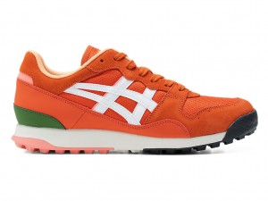 Női Onitsuka Tiger Tiger Horizonia Cipő Fehér | XH7321408